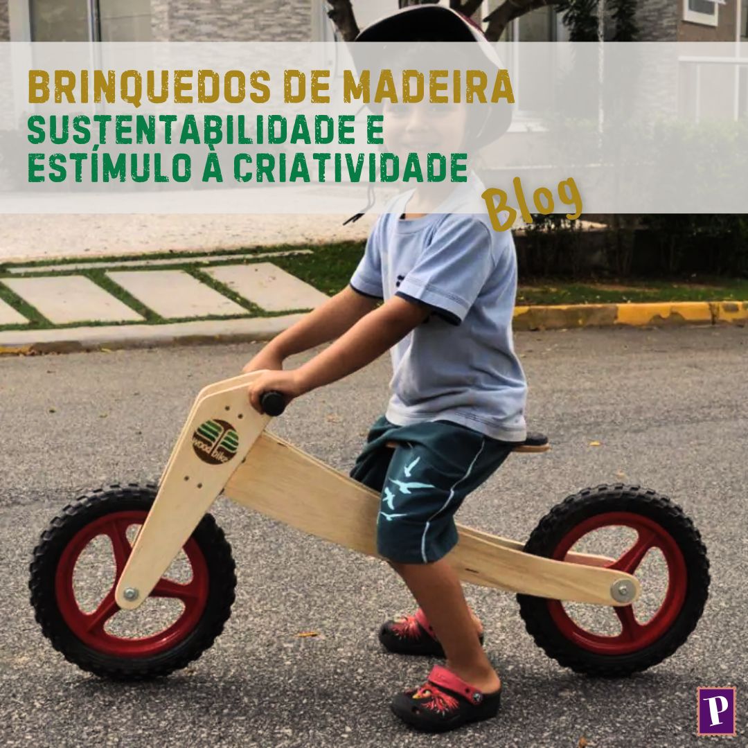 Brinquedos de Madeira