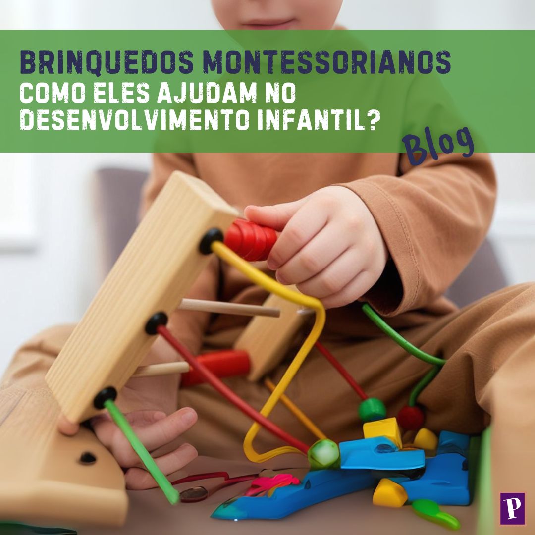 Brinquedos Montessorianos