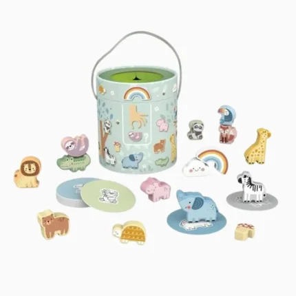 Caixa Misteriosa Jogo Da memória Tooky Toy