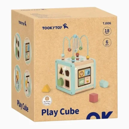 Cubo de Atividades Educativo Tooky Toy