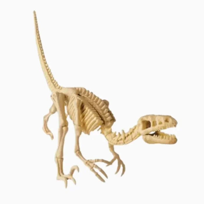 Kit de Escavação De Dinossauro Velociraptor 4M - Imagem 5