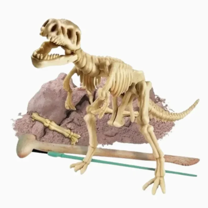 Kit de Escavação De Dinossauro Velociraptor 4M - Imagem 4