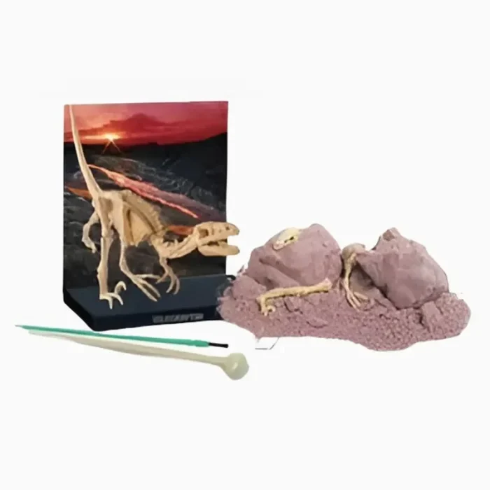Kit de Escavação De Dinossauro Velociraptor 4M - Imagem 7
