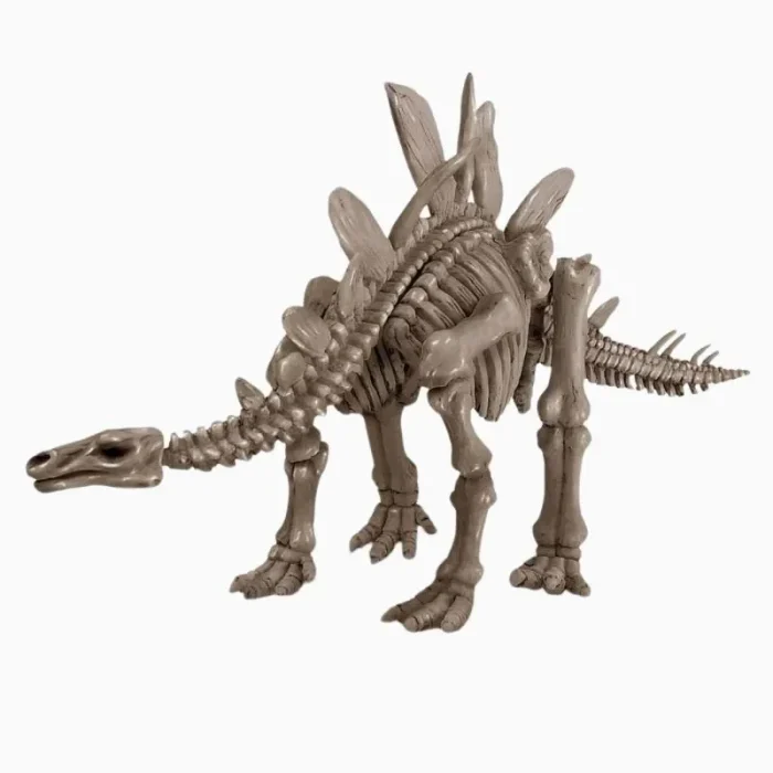 Kit De Escavação De Dinossauro Estegossauro 4M - Imagem 4