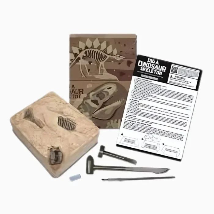 Kit De Escavação De Dinossauro Estegossauro 4M - Imagem 7