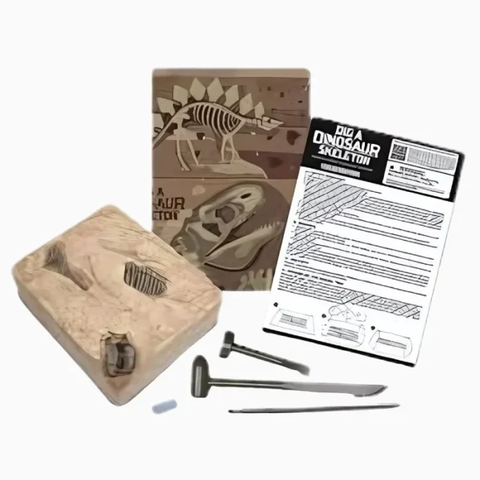Kit De Escavação De Dinossauro Tricerátopo 4M - Imagem 6