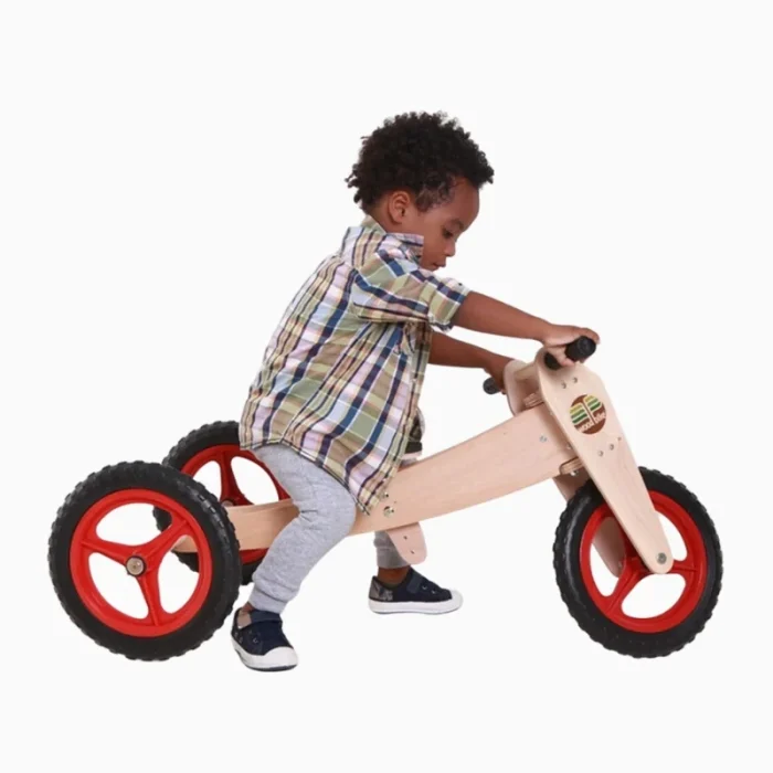 Bicicleta de Madeira Woodbike 3 em 1 Camara - Imagem 2