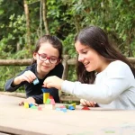 Desafio do Equilíbrio Em Madeira Lume - Imagem 4