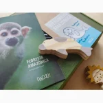 Kit Floresta Amazônica Em Madeira Pachu - Imagem 7