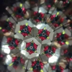 Caleidoscópio Fundo Do Mar Rotação Kits for Kids - Imagem 3